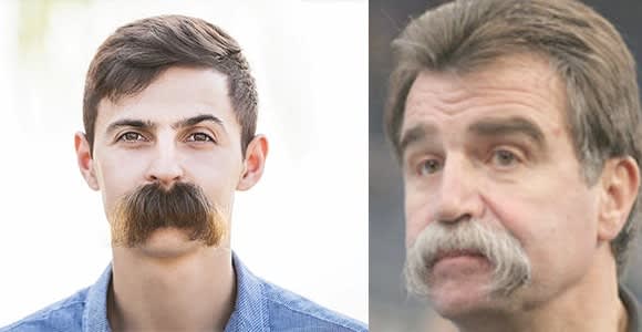 Walrus Mustache Similar to the chevron moustache